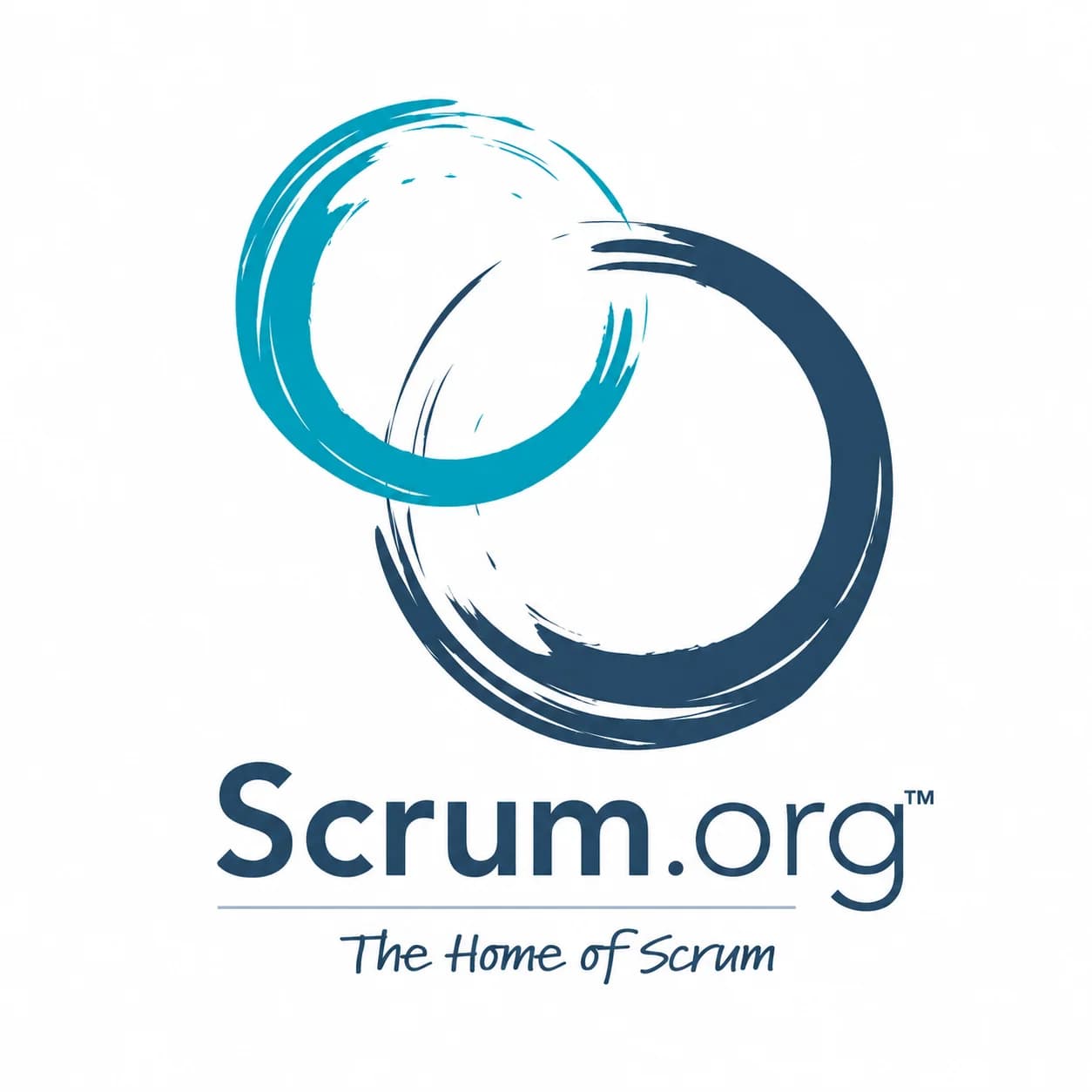 Partner logo 1